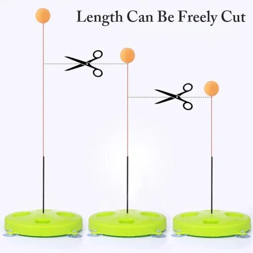 مدرب تنس الطاولة - الصورة 4