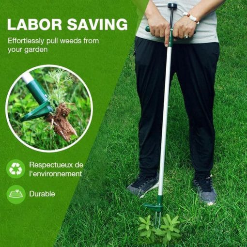 أداة إزالة جذور النباتات الدائمة